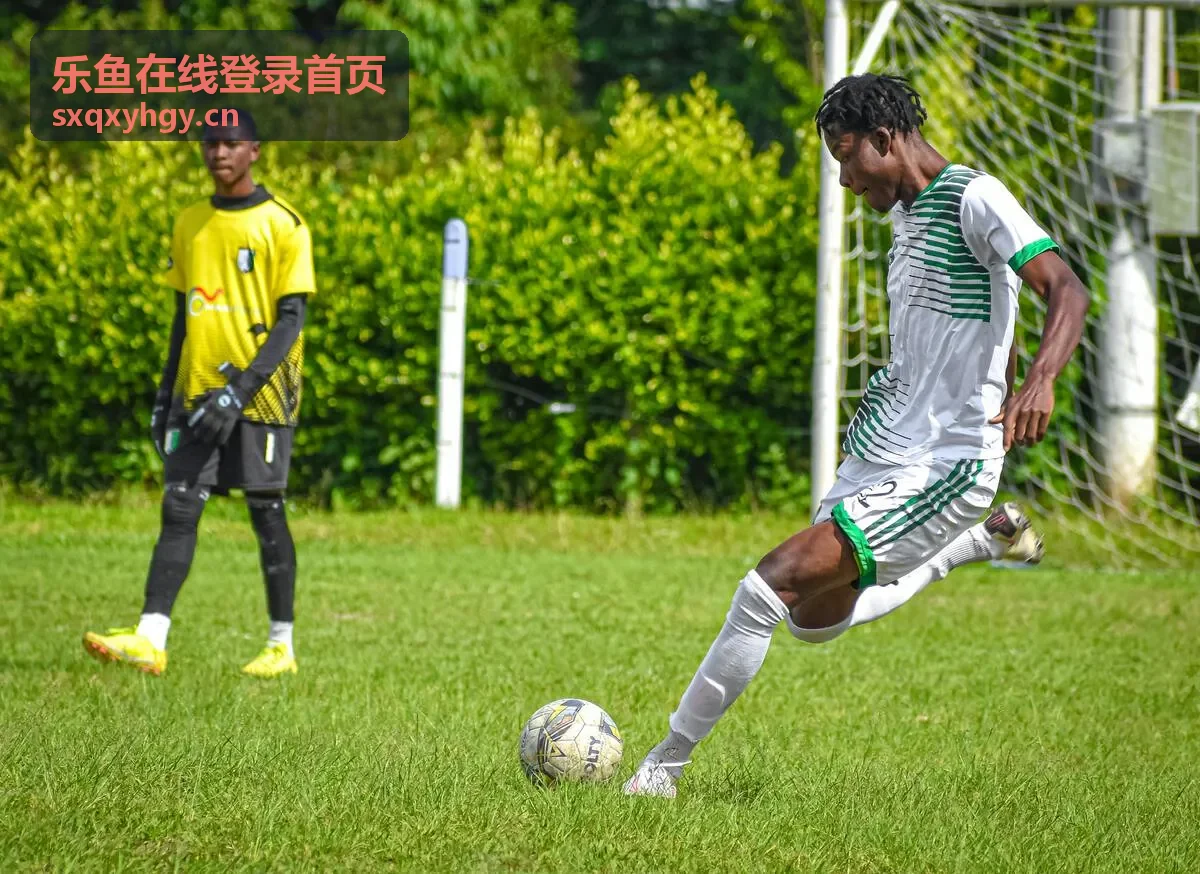 乐鱼在线登录首页常见登录问题处理