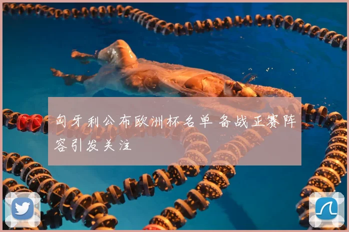 匈牙利公布欧洲杯名单 备战正赛阵容引发关注