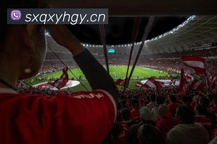 App Interface Preview